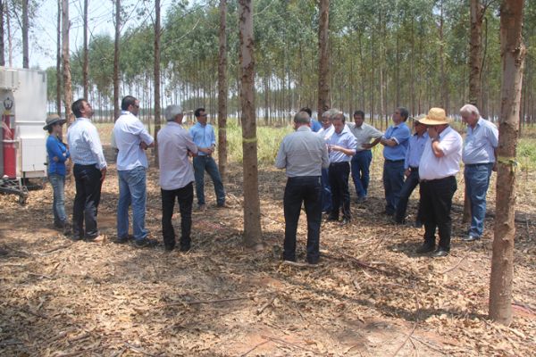 Pesquisas com ILPF mostram viabilidade econmica para a pecuria em Mato Grosso