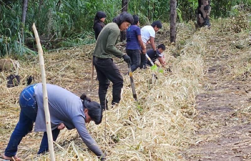 Governo de Mato Grosso investe R$ 1,5 milh�o para fortalecer produ��o ind�gena Xavante